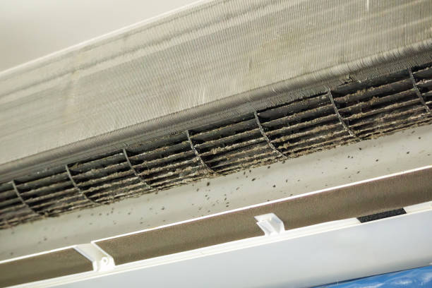 Best Residential Air Duct Cleaning  in La Grande, OR